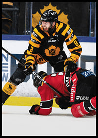 Petter Granberg Skellefteå AIK-8
