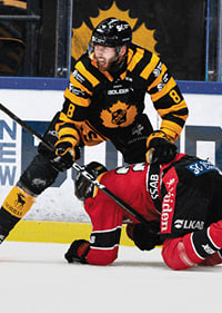 Petter Granberg Skellefteå AIK-9