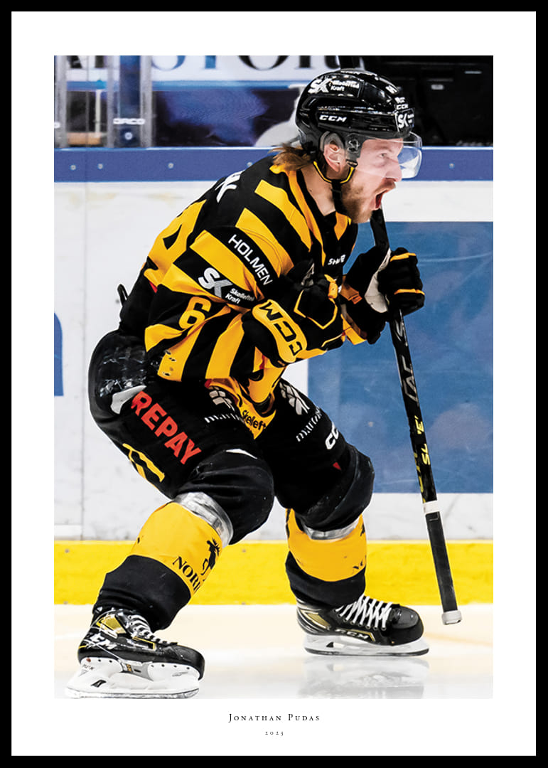 Jonathan Pudas No2 Skellefteå AIK-12
