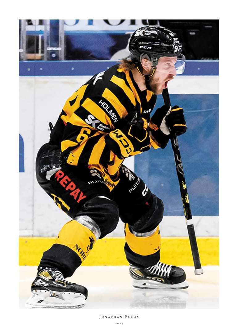 Jonathan Pudas No2 Skellefteå AIK-12