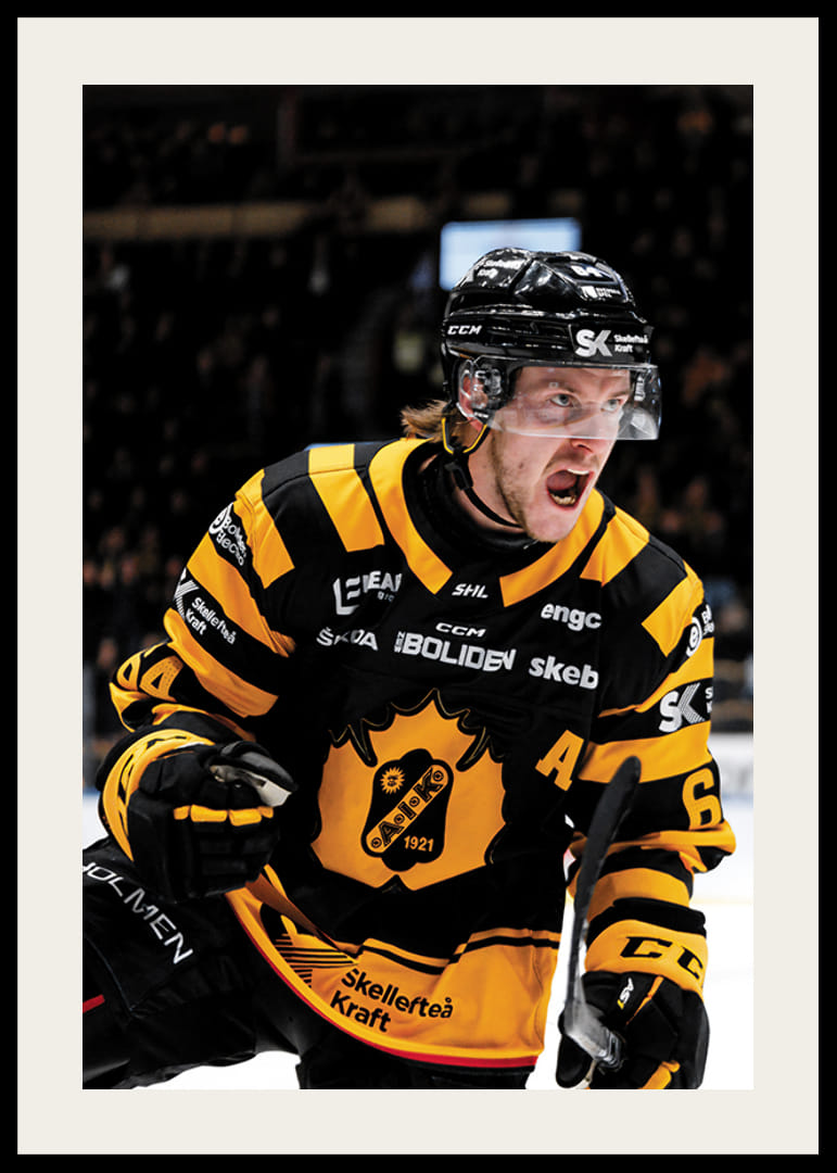 Jonathan Pudas No1 Skellefteå AIK-12