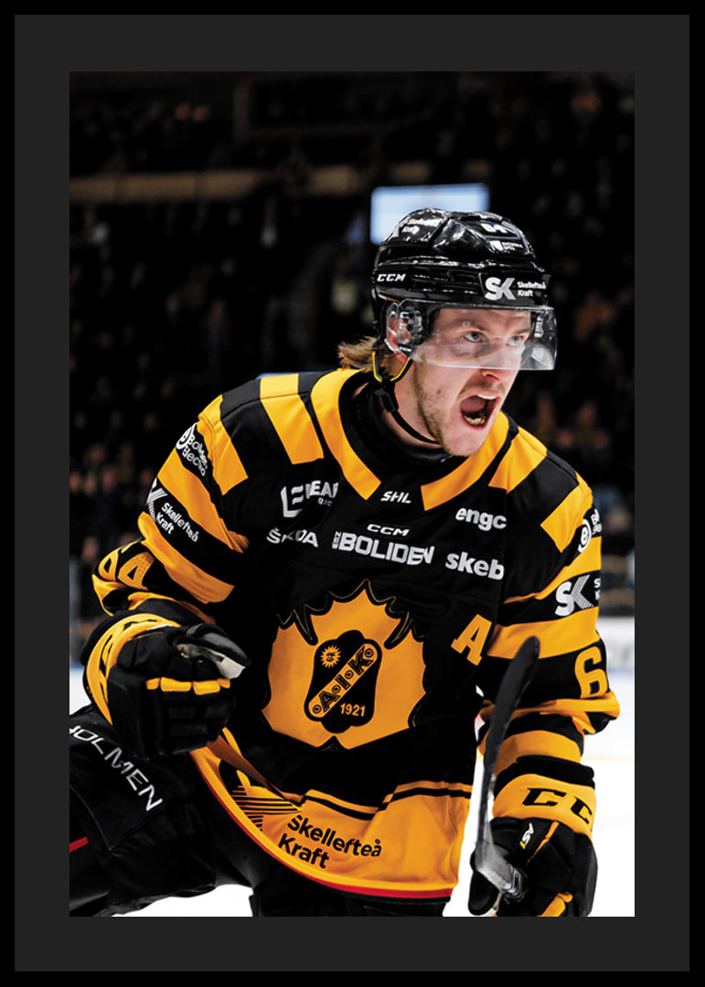 Jonathan Pudas No1 Skellefteå AIK-12