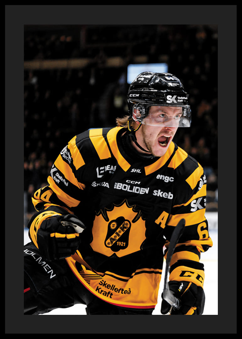 Jonathan Pudas No1 Skellefteå AIK-12