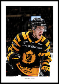 Jonathan Pudas No1 Skellefteå AIK-0