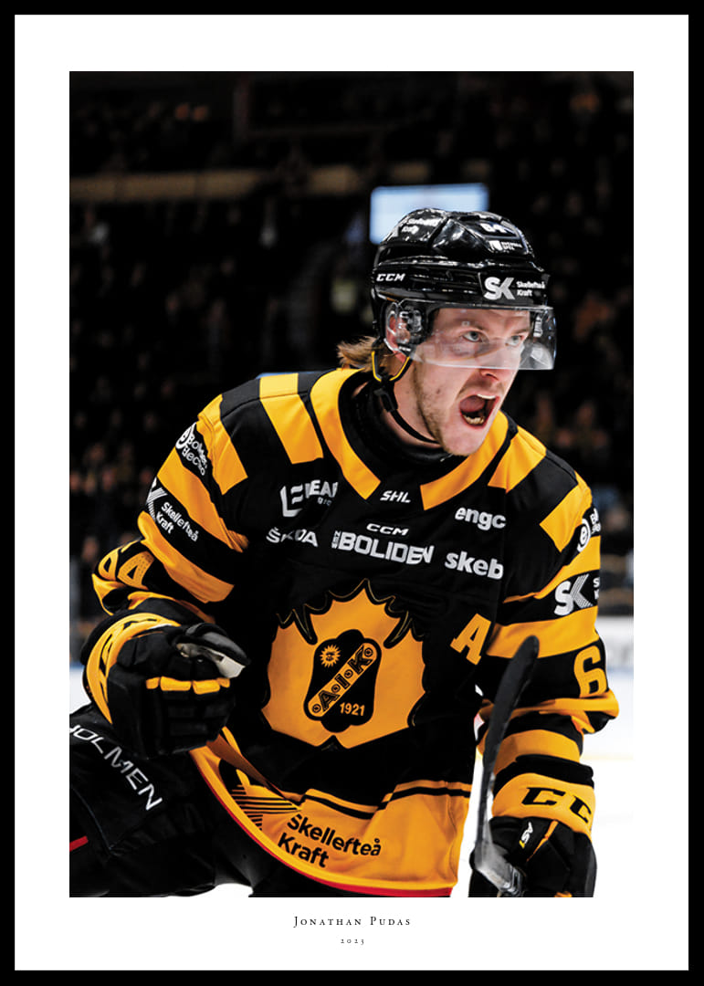 Jonathan Pudas No1 Skellefteå AIK-12