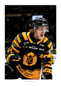 Jonathan Pudas No1 Skellefteå AIK-1