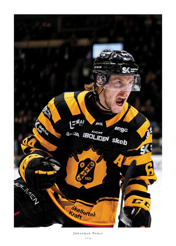 Poster Jonathan Pudas No1 Skellefteå AIK