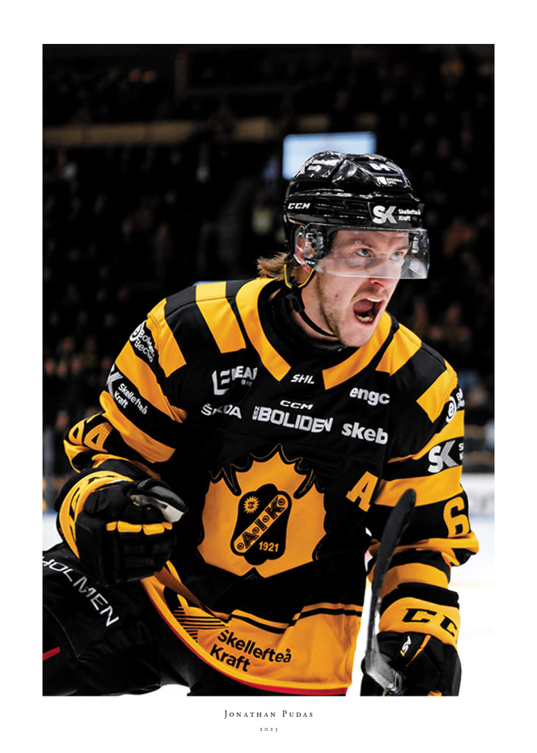 Jonathan Pudas No1 Skellefteå AIK-12