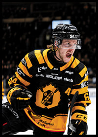 Jonathan Pudas No1 Skellefteå AIK-8