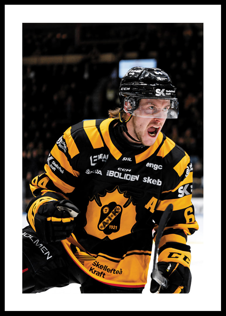 Jonathan Pudas No1 Skellefteå AIK-12