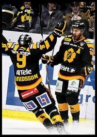 Arvidsson & Bellemare Skellefteå AIK-8
