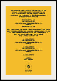 En Stad Ett Hockeylag Skellefteå AIK-2