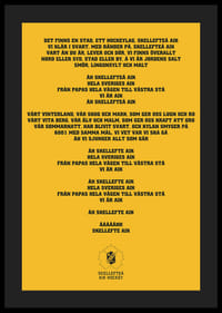 En Stad Ett Hockeylag Skellefteå AIK-4