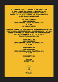 En Stad Ett Hockeylag Skellefteå AIK-5