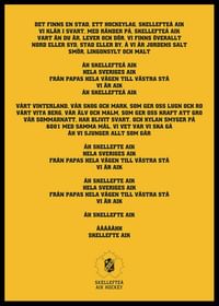 En Stad Ett Hockeylag Skellefteå AIK-2