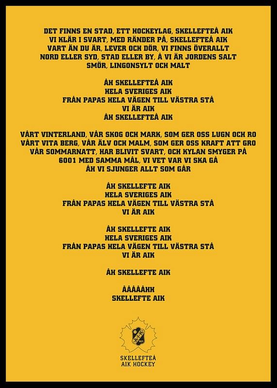 En Stad Ett Hockeylag Skellefteå AIK-12