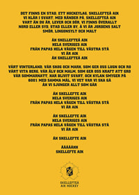 En Stad Ett Hockeylag Skellefteå AIK-7