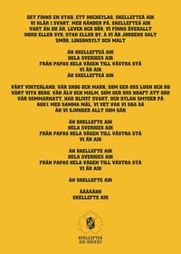 En Stad Ett Hockeylag Skellefteå AIK-3