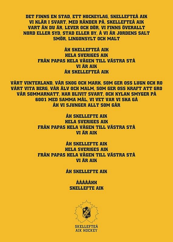 En Stad Ett Hockeylag Skellefteå AIK-12