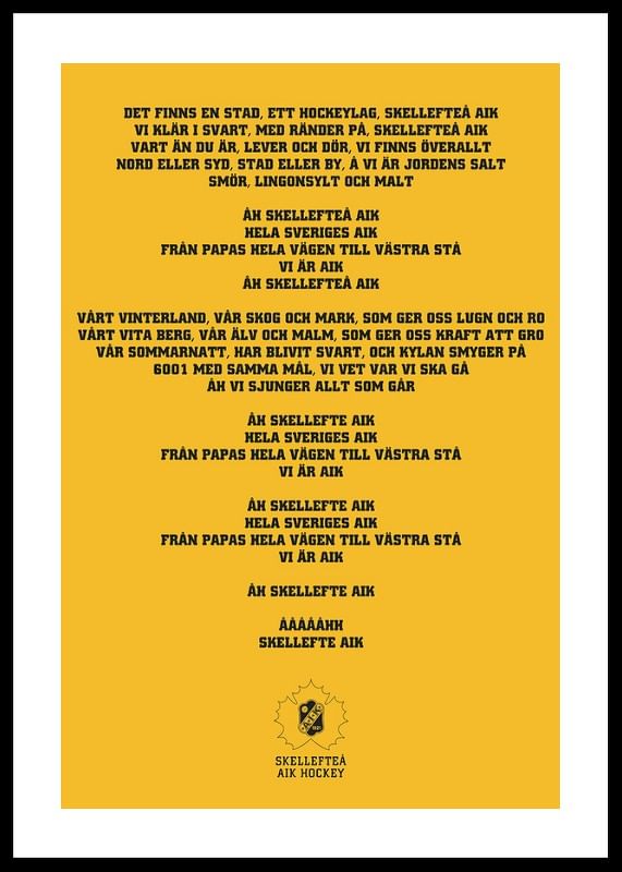 Poster En Stad Ett Hockeylag Skellefteå AIK