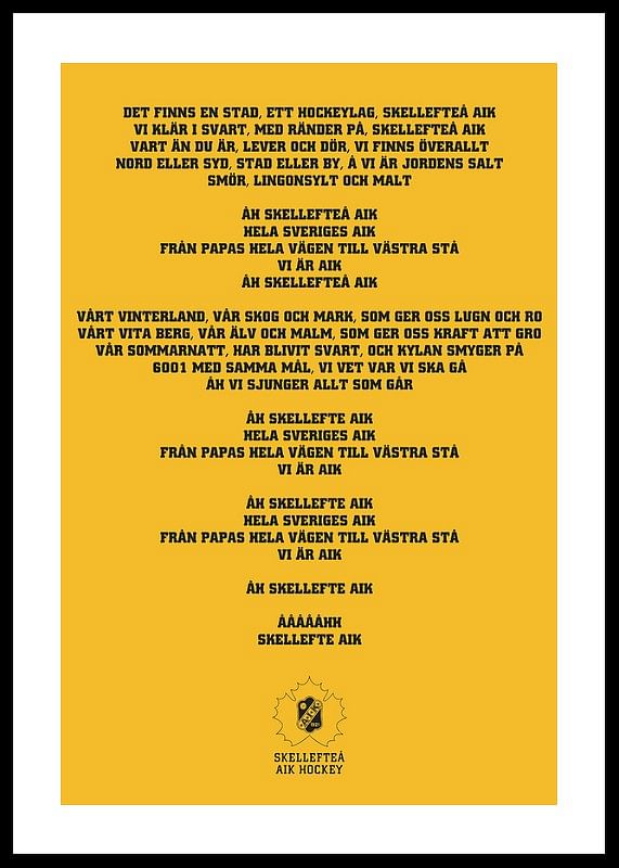 En Stad Ett Hockeylag Skellefteå AIK-12