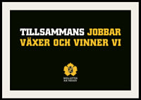 Tillsammans Skellefteå AIK-2