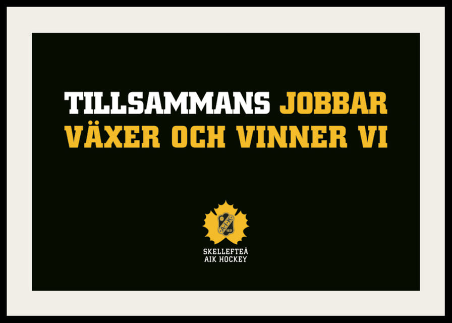 Tillsammans Skellefteå AIK-12