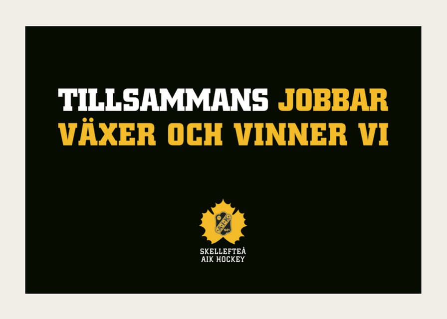 Tillsammans Skellefteå AIK-12