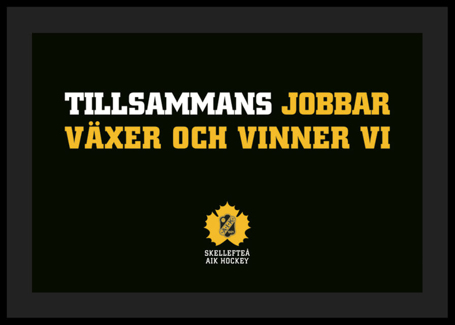 Tillsammans Skellefteå AIK-12