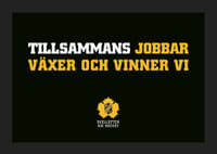 Tillsammans Skellefteå AIK-5