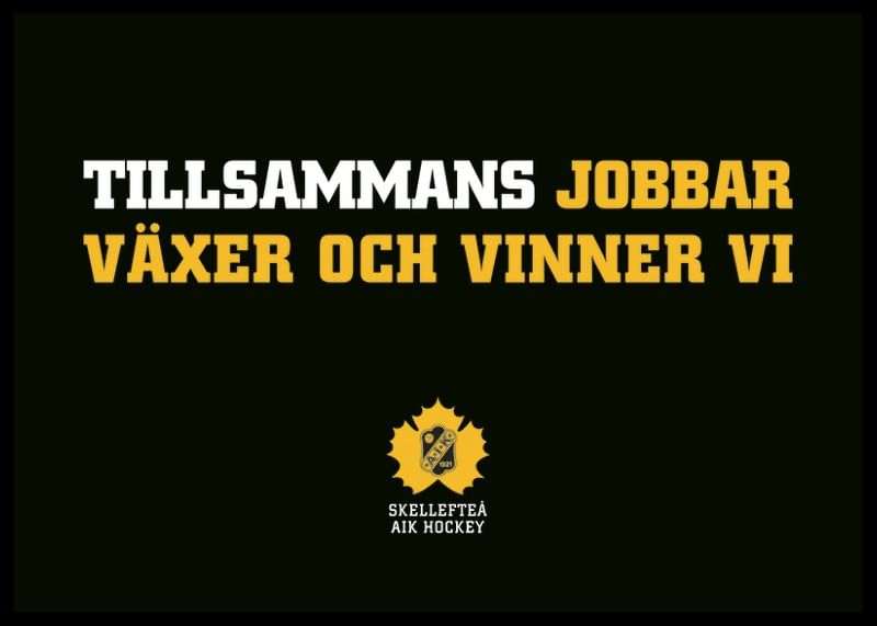 Tillsammans Skellefteå AIK-12