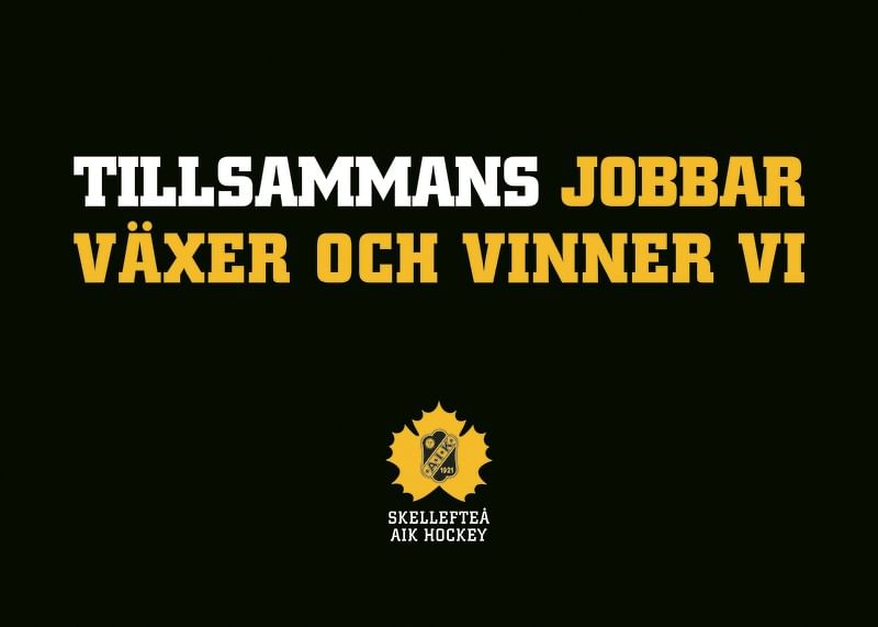 Tillsammans Skellefteå AIK-12