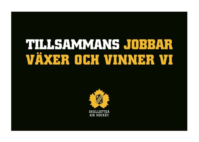 Tillsammans Skellefteå AIK-12