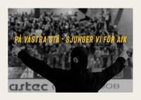 På Västra Stå Skellefteå AIK-3