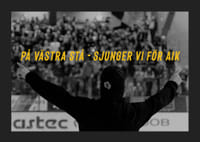 På Västra Stå Skellefteå AIK-5
