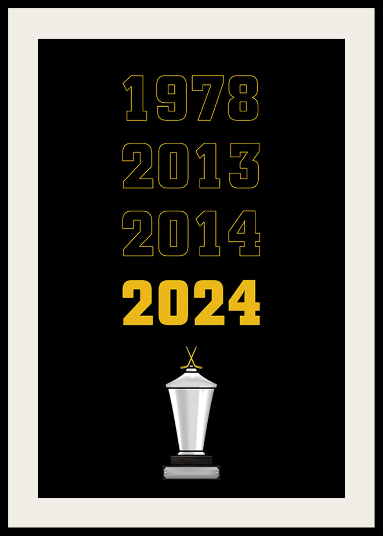 Guldåren Skellefteå AIK-12