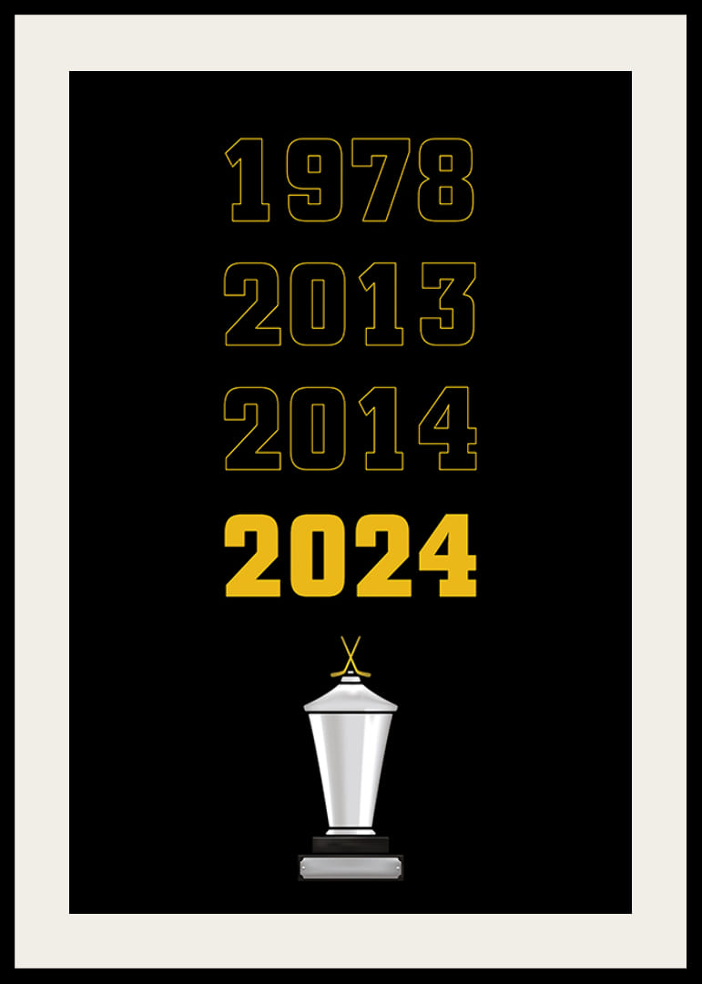 Guldåren Skellefteå AIK-12