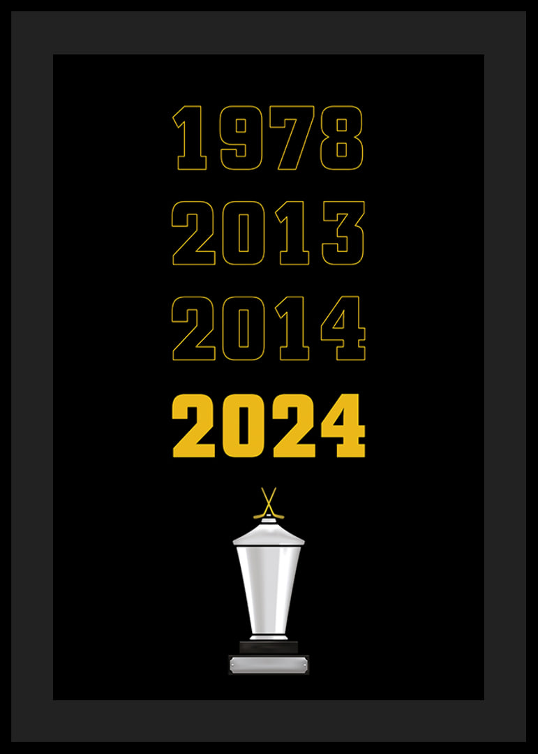 Guldåren Skellefteå AIK-12