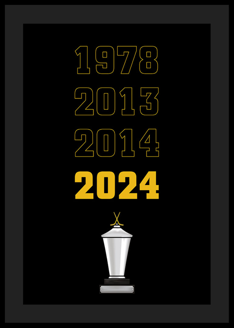 Guldåren Skellefteå AIK-12