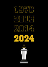 Guldåren Skellefteå AIK-6