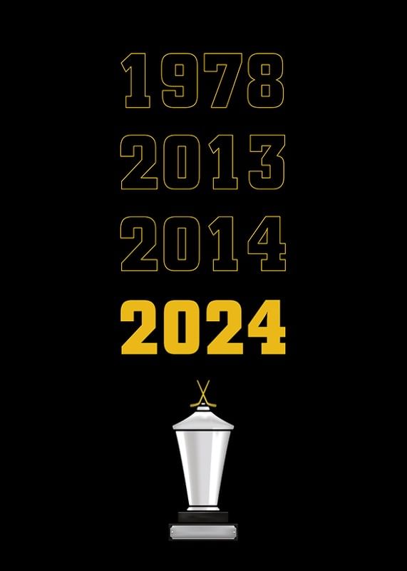 Guldåren Skellefteå AIK-12