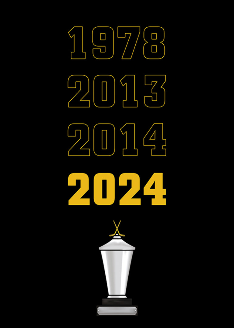 Guldåren Skellefteå AIK-12