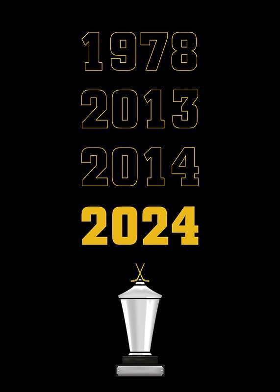 Guldåren Skellefteå AIK-12