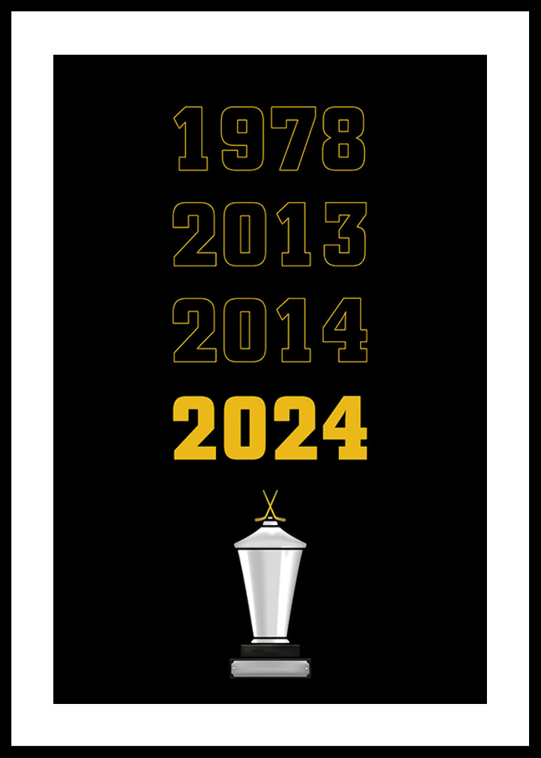Guldåren Skellefteå AIK-12