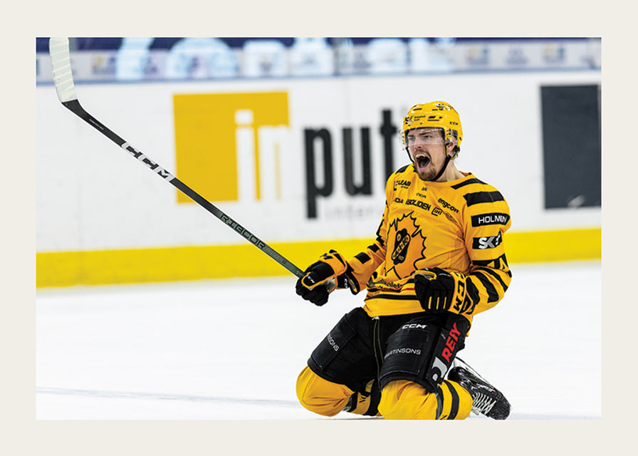 Andreas Johnson Skellefteå AIK-12