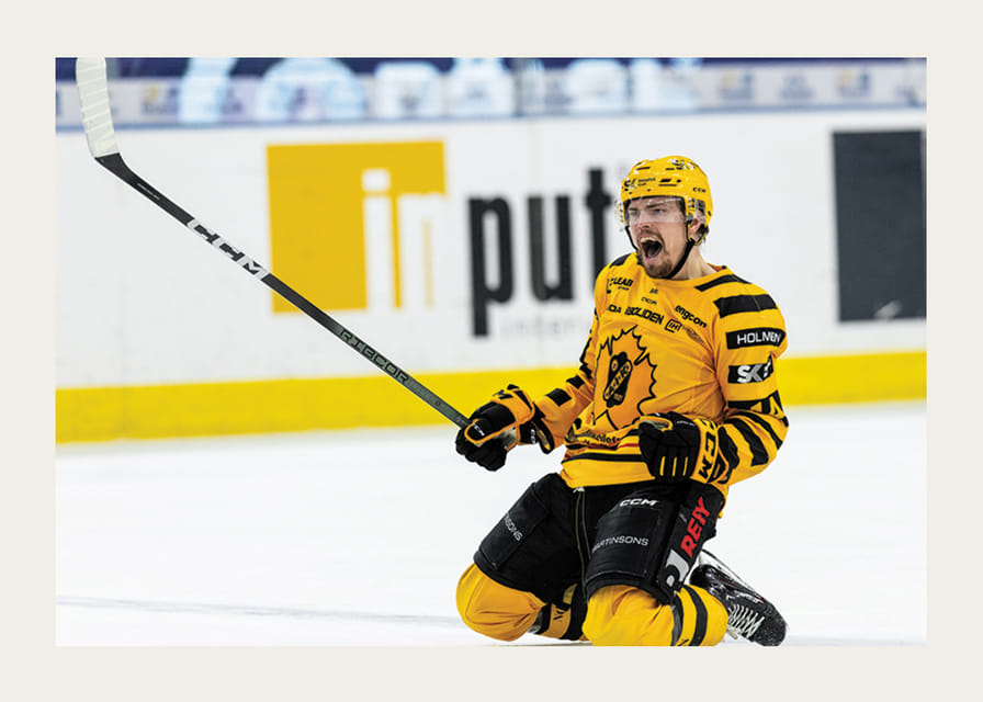 Andreas Johnson Skellefteå AIK-12