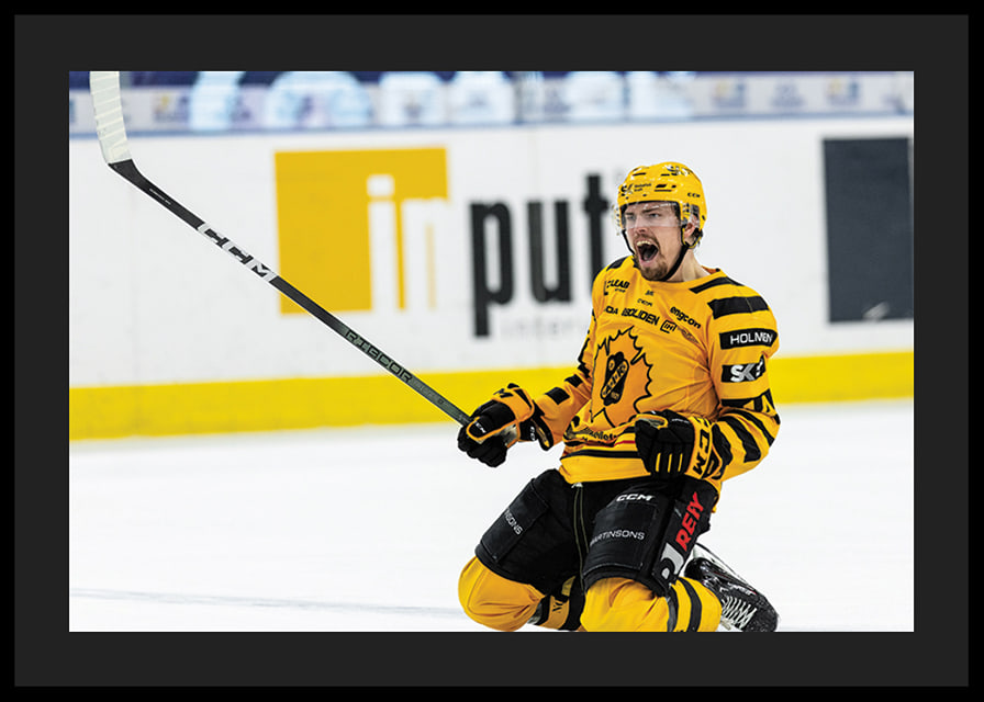Andreas Johnson Skellefteå AIK-12