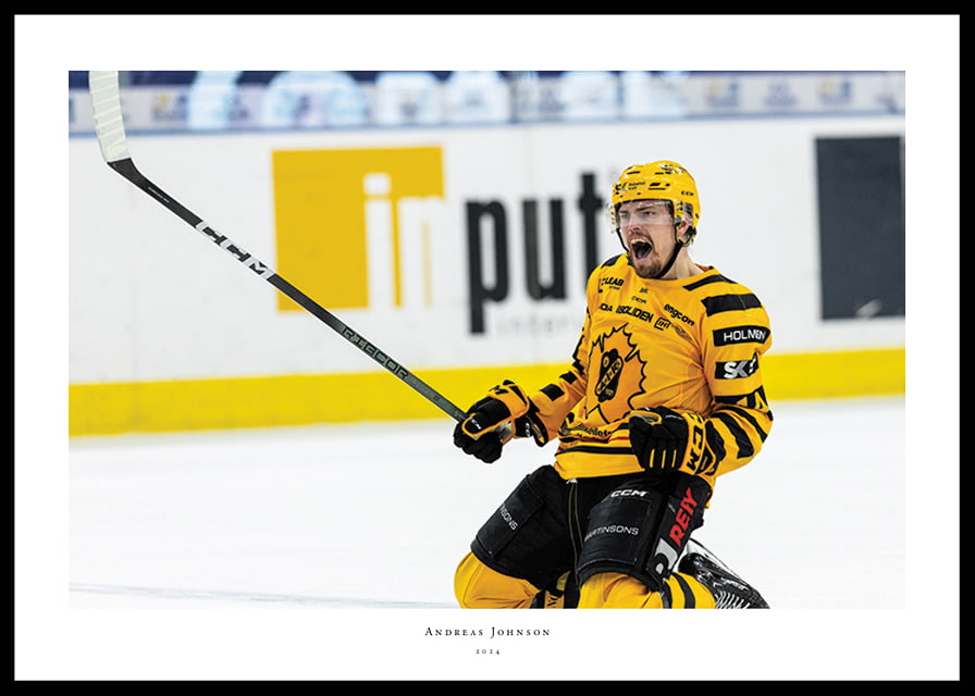 Andreas Johnson Skellefteå AIK-12