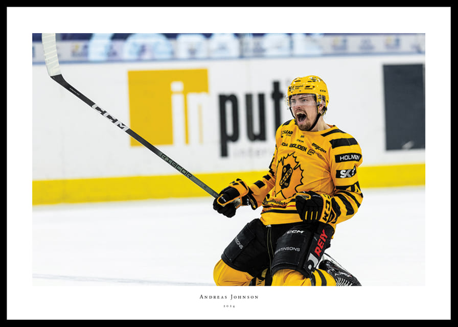 Andreas Johnson Skellefteå AIK-12