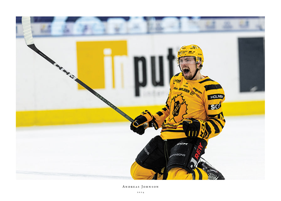Andreas Johnson Skellefteå AIK-12